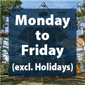 Aerial Park Tickets